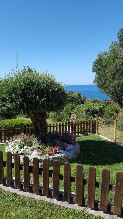 Bed And Breakfast Nefer Maratea Bagian luar foto