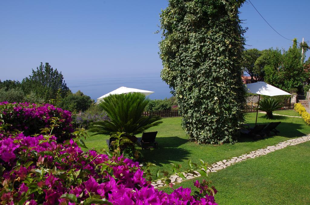 Bed And Breakfast Nefer Maratea Bagian luar foto